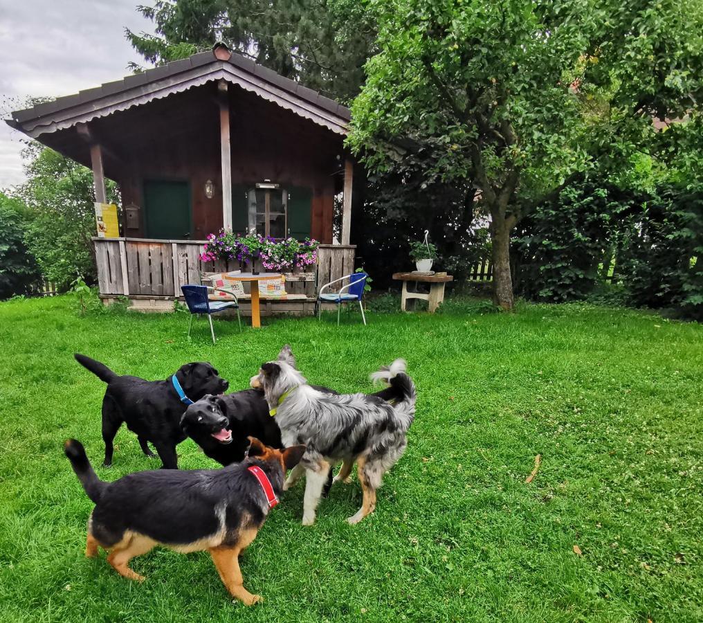 Schusterbauer Villa Koppl Kültér fotó