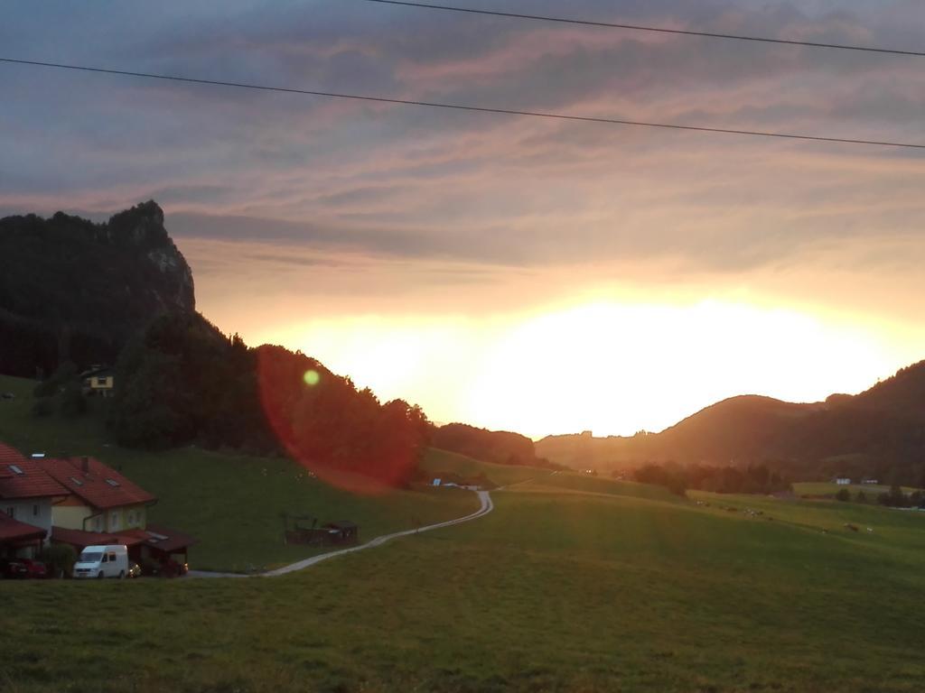 Schusterbauer Villa Koppl Kültér fotó