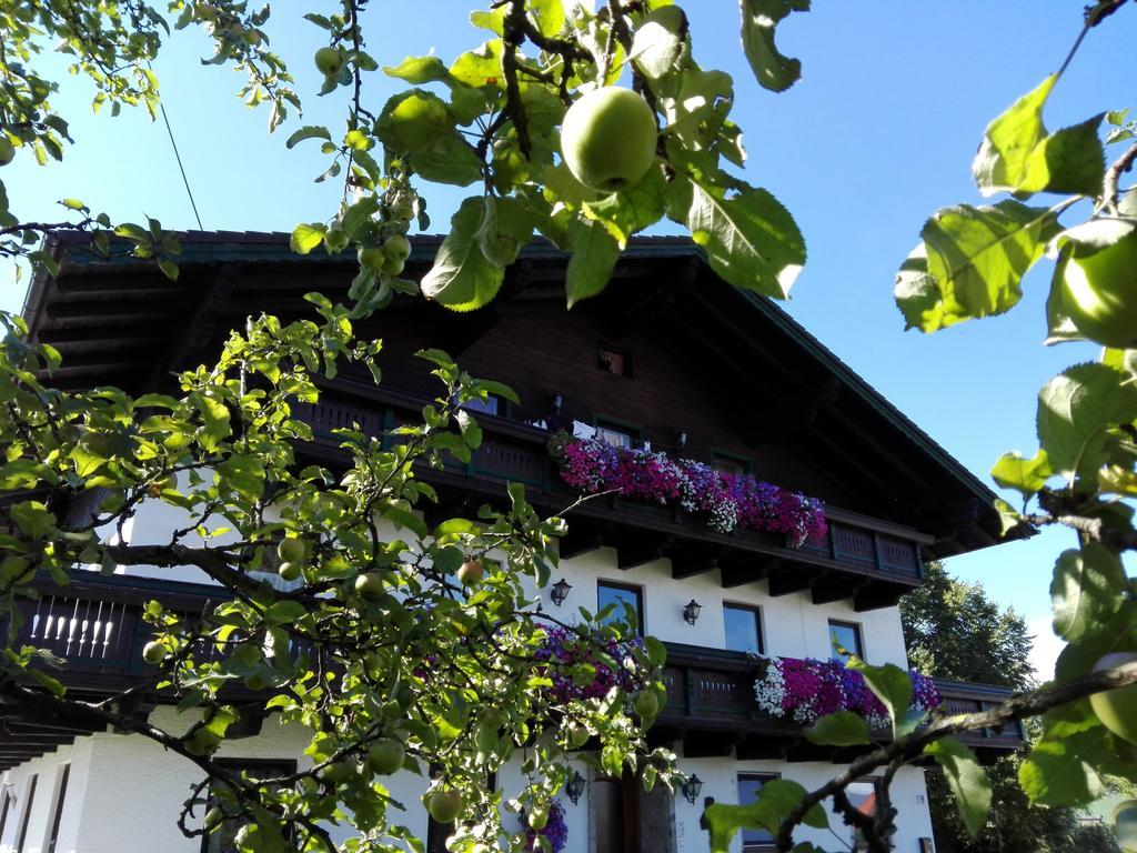 Schusterbauer Villa Koppl Kültér fotó