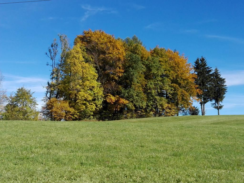 Schusterbauer Villa Koppl Kültér fotó