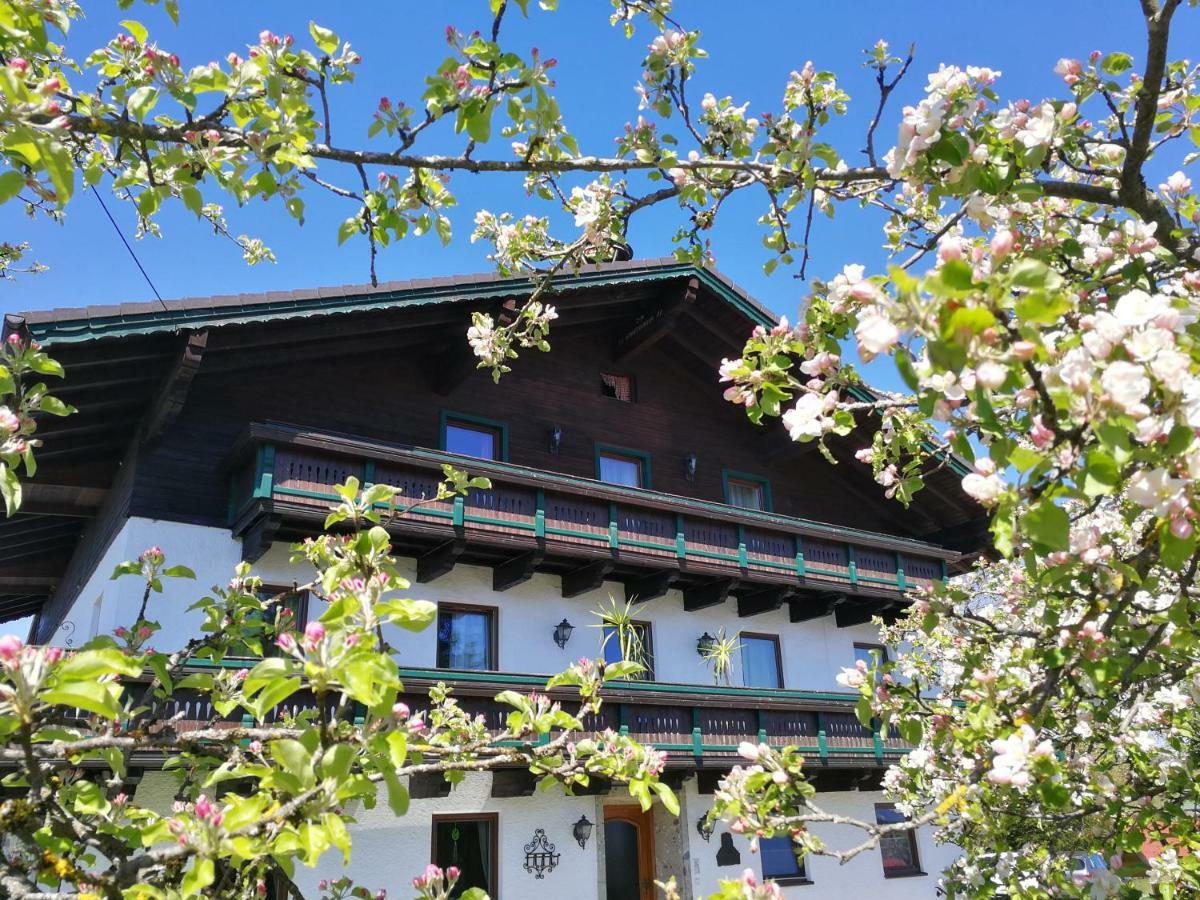 Schusterbauer Villa Koppl Kültér fotó